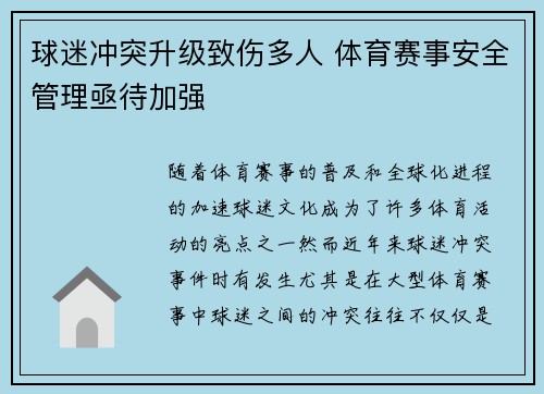 球迷冲突升级致伤多人 体育赛事安全管理亟待加强 球迷冲突升级致伤多人 体育赛事安全管理亟待加强